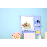 皇豹浴室梳妆镜壁挂式塑料化妆穿衣镜子牙刷牙膏格子挂毛巾置物台特价化妆镜