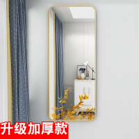 皇豹铝合金全身镜挂墙落地镜家用穿衣镜立体服装店镜子贴墙壁挂试衣镜试衣镜