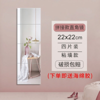 皇豹玻璃镜子单片粘贴网红电梯健身房镜子全身穿衣镜挂墙可粘客厅墙上试衣镜