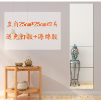 皇豹贴墙镜子全身镜宿舍穿衣镜学生自贴镜子试衣镜家用组合化妆镜粘贴试衣镜