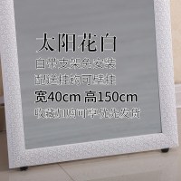 皇豹壹香树少女心带寝室镜立体镜子全身镜卧室可爱落地墙面木架站地长试衣镜