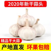2020年干蒜当季大蒜头1000g带箱新鲜蒜头金乡大蒜紫皮大蒜