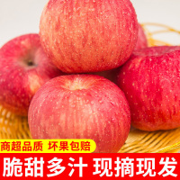 红富士苹果3斤装 70-75mm果 现摘现发 2020年新果 应季水果
