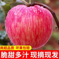 红富士苹果3斤装 80-90mm果 现摘现发 2020年新果 应季水果