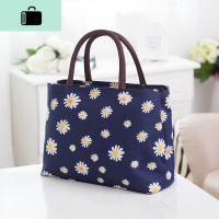 双层拉链帆布女手提包小布包妈妈包中老年手拎包女包购物袋收纳包NEW LAKE