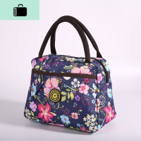 手提包女包妈咪包便当包学生拎午餐加厚包包上班族女包手拎包NEW LAKE