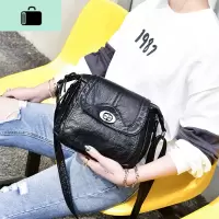 水洗皮女包软皮新款时尚潮流斜挎包单肩包迷你小包包百搭转锁女包NEW LAKE 黑色 默认女士单肩包