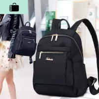 防盗牛津布双肩包女2020韩版新款学生大容量书包帆布休闲背包超轻NEW LAKE