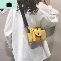 ins超火帆布包女斜挎包网红小女士包包2020新款潮流单肩包小方包NEW LAKE女士单肩包