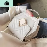 高级感洋气小众包包女2020新款潮网红百搭2019女包夏天单肩斜挎包NEW LAKE女斜挎包