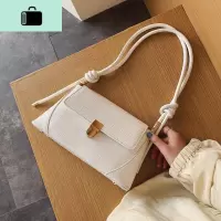 上新小包包女包2020流行新款潮时尚网红单肩腋下包百搭NEW LAKE女斜挎包