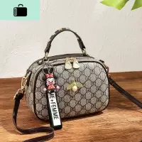 小包包女包2020新款潮网红时尚女士简约百搭单肩斜挎包手提包2019NEW LAKE女斜挎包