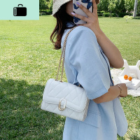 网红女士小包包2020夏季新款潮时尚百搭ins单肩斜挎包链条小方包NEW LAKE女斜挎包