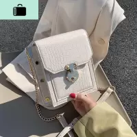 夏天的包包女2020新款潮百搭单肩斜挎包超火包链条迷你小方包insNEW LAKE女斜挎包