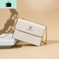 2020夏天小包包上新韩版潮ins时尚百搭单肩链条小方包NEW LAKE女斜挎包