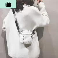 网红质感小包包女2020新款高级感洋气帆布包女百搭迷你单肩斜挎包NEW LAKE女斜挎包