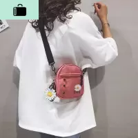 网红高级质感小包包女帆布2020新款洋气小布包mini百搭单肩斜挎包NEW LAKE女斜挎包