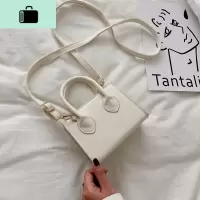 上新小包包女2020流行新款韩版百搭斜挎包网红时尚质感单肩手提包NEW LAKE女斜挎包