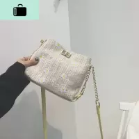 夏天网红编包包2020新款高级感女包洋气百搭链条编织单肩斜挎包NEW LAKE女斜挎包