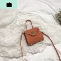 夏天迷你包包女斜挎包2020新款网红凯莉包百搭ins链条包手提小包NEW LAKE