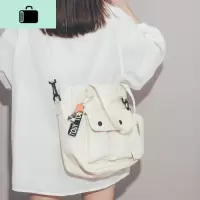 大容量帆布包包女2020新款潮大学生上课斜挎包日系文艺单肩布袋包NEW LAKE女斜挎包