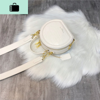 欧洲站半圆包包女2020新款高质感苹果包时尚百搭手提斜挎包小圆包NEW LAKE女斜挎包