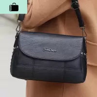 中年女包妈妈包斜挎包小包2020新款潮包包时尚女士简约大容量单肩NEW LAKE女斜挎包