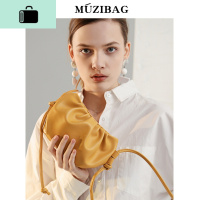 2020新款流行包包女高级感女百搭ins洋气经典斜挎云朵包NEW LAKE女斜挎包