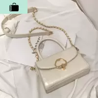 ins超火浮光掠影包包女包2020新款潮洋气小众百搭手提单肩斜挎包NEW LAKE女斜挎包