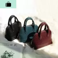 小众高级感贝壳包小包包女 2020新款潮百搭单肩斜挎包 质感手提包NEW LAKE女斜挎包