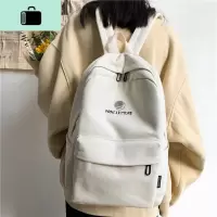 帆布双肩包女2020新款韩版原宿高中学生书包 百搭时尚ins超火背包NEW LAKE