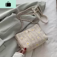 编小包包女2020春季新款网红小雏菊链条仙女百搭编织单肩斜挎包NEW LAKE女士单肩包