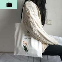 小清新时尚chic女单肩帆布包 ins超火包 韩版学生文艺包包布袋包NEW LAKE 春天和夏天白包女手包