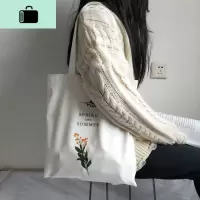 小清新时尚chic女单肩帆布包 ins超火包 韩版学生文艺包包布袋包NEW LAKE 春天和夏天白包女手包