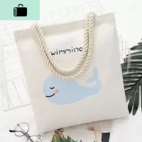 帆布单肩包女包包日韩国简约文艺学生书包森系手提包休闲购物布袋NEW LAKE女士单肩包