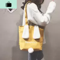小仙女包包2020新潮韩版手提帆布包女单肩包百搭托特包大容量女包NEW LAKE女士单肩包