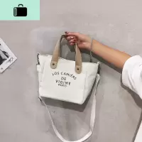 2020新款手提帆布小包包韩版简约百搭休闲斜挎包女包潮流NEW LAKE女斜挎包