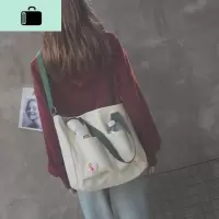 学院风包包帆布包女单肩大容量斜挎包女百搭ins布袋韩版学生日系NEW LAKE女斜挎包