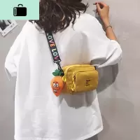 小包包女2020流行新款潮斜挎包女韩版洋气百搭ins流行单肩帆布包NEW LAKE女斜挎包