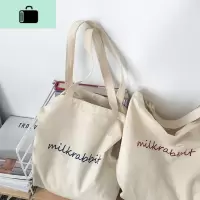 帆布包女单肩ins手提两用学生韩国大容量2019新款休闲百搭网红潮NEW LAKE女手包