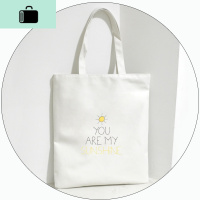 复古文艺学生帆布包女单肩简约韩国ulzzang日系森系手提袋黑白色NEW LAKE女手包