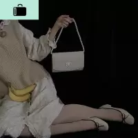 珍珠链条丝绒高级感包包女斜挎百搭复古小包手提手拿小猫女斜挎包NEW LAKE