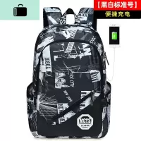 书包男时尚潮流高中初中学生大容量小学生校园双肩包韩版休闲背包NEW LAKE 黑白USB版单件