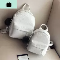 ins超火的双肩包女小包2020新款时尚百搭软皮质大容量上班小背包NEW LAKE