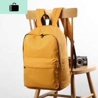 双肩包2020新款韩版百搭运动大容量背包简约ins日系高中学生书包NEW LAKE