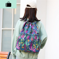 2020新款尼龙防水印花时尚双肩包旅行背包户外健身抽带NEW LAKE