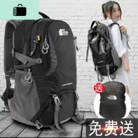 旅行包大容量女双肩休闲背包轻便防水旅游运动多功能男户外登山包NEW LAKE女士双肩包
