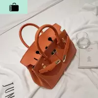 包包女2020新款春夏时尚法式手提包百搭高级感洋气单肩斜挎凯莉包NEW LAKE