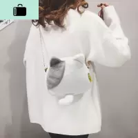 可爱毛绒小圆包纯色链条小包包女2020新款卡通简约百搭单肩斜挎包NEW LAKE女士单肩包