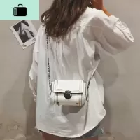 ins包包女2020新款潮韩版超火简约小方包休闲百搭斜挎单肩链条包NEW LAKE女士单肩包